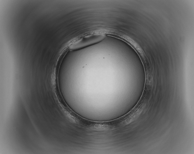 X0000116510437200912161342