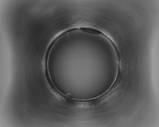 X0000116510438200912161342