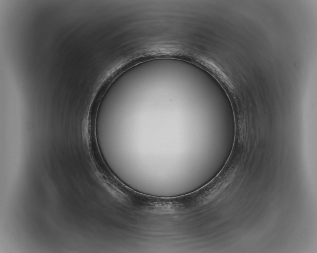 X0000116510439200912161342