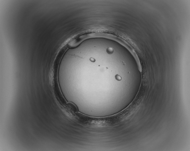 X0000116510440200912161342