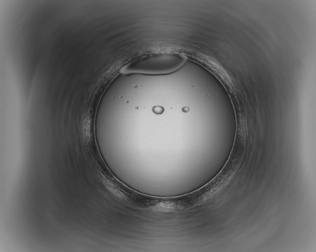 X0000116510441200912161342