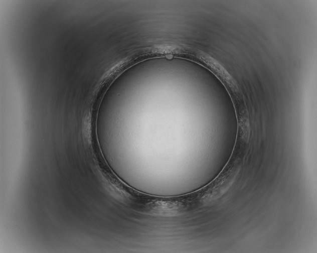 X0000116510442200912161342