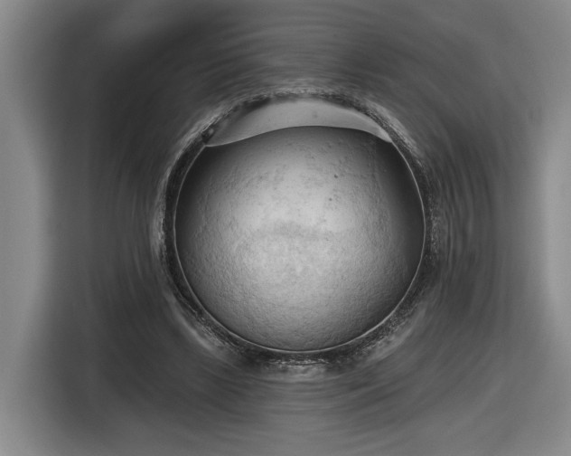 X0000116510443200912161342