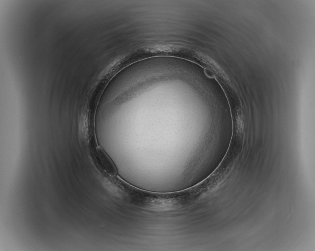 X0000116510444200912161342