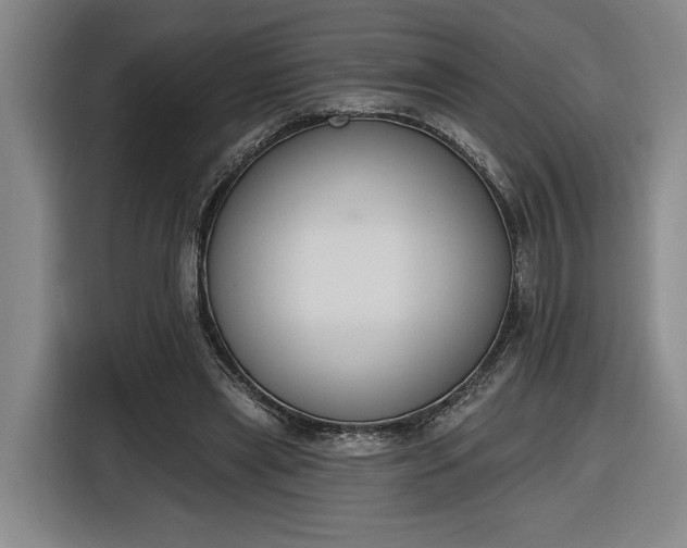 X0000116510445200912161342