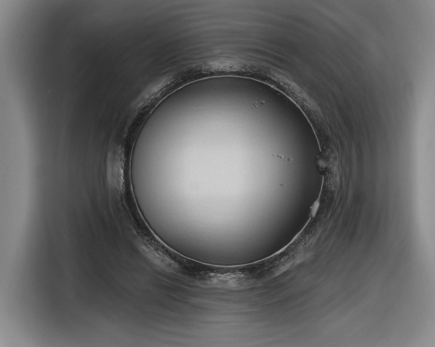 X0000116510446200912161342