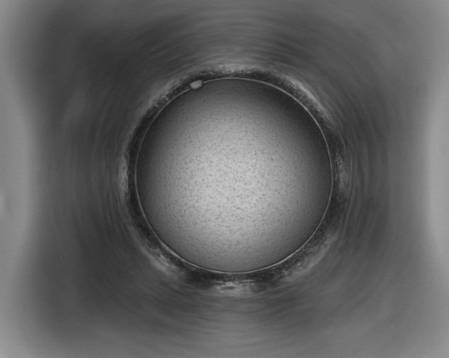 X0000116510447200912161342