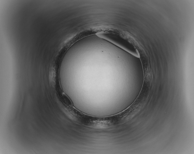 X0000116510448200912161342