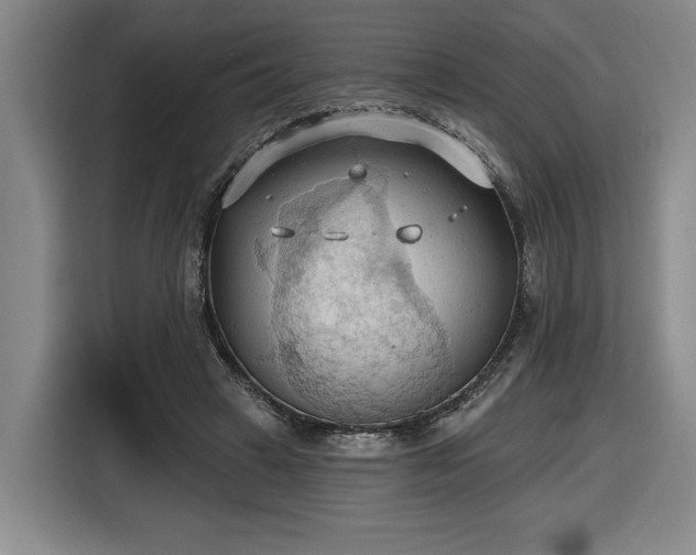 X0000116510449200912161342