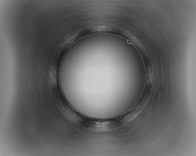 X0000116510450200912161342