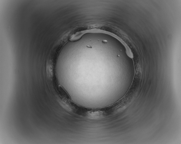 X0000116510452200912161342