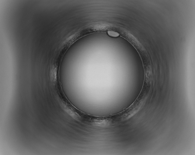 X0000116510454200912161342