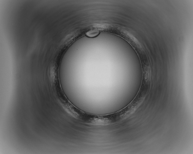 X0000116510455200912161342