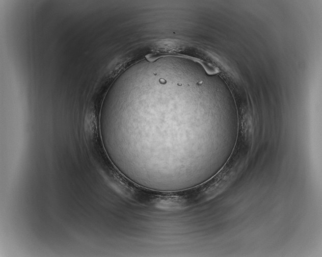 X0000116510459200912161342