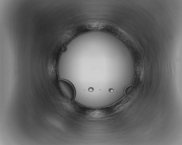 X0000116510460200912161342