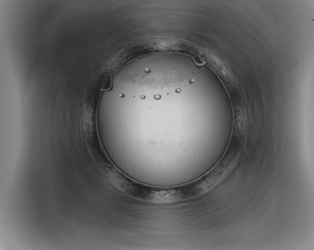 X0000116510461200912161342