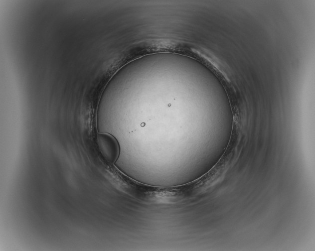 X0000116510462200912161342