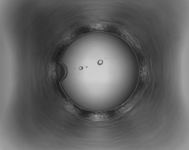 X0000116510466200912161342