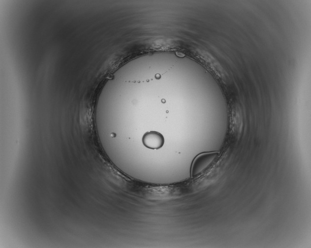 X0000116510473200912161342