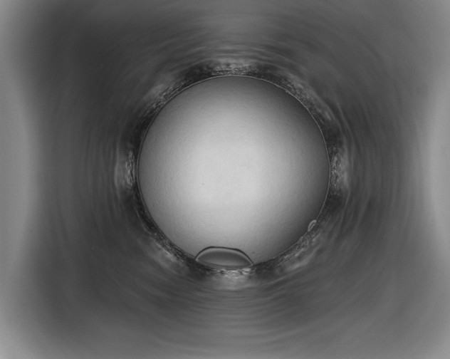 X0000116510474200912161342