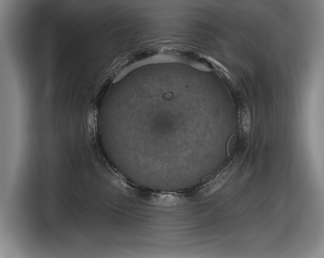 X0000116510475200912161342