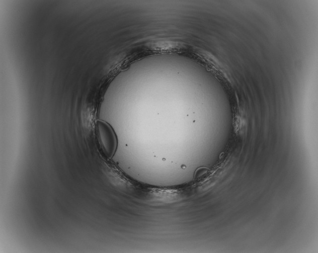 X0000116510476200912161342