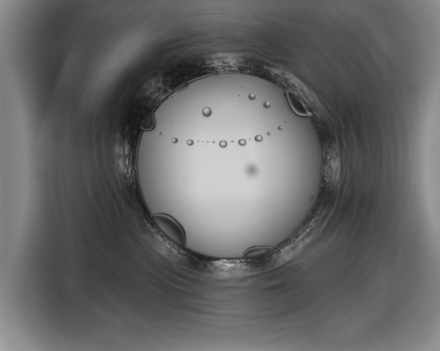 X0000116510477200912161342