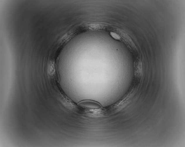 X0000116510478200912161342