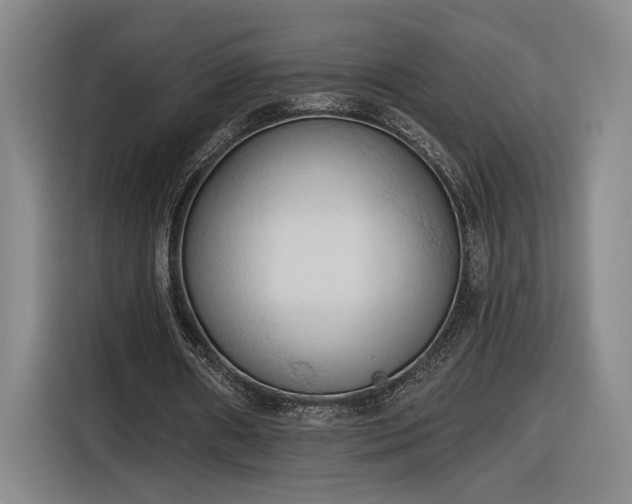 X0000116510482200912161342