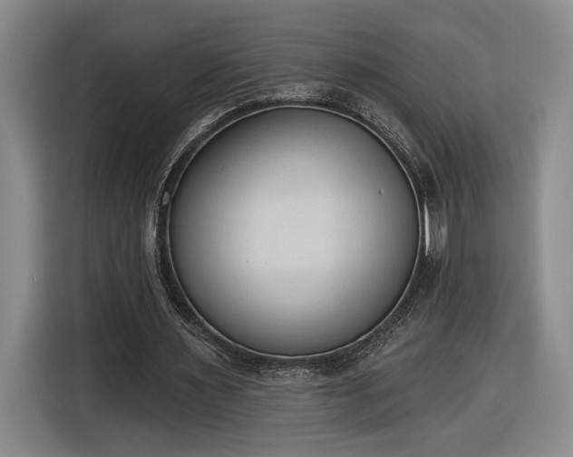 X0000116510483200912161342