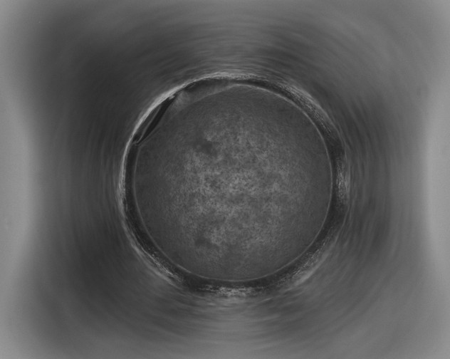 X0000116510484200912161342