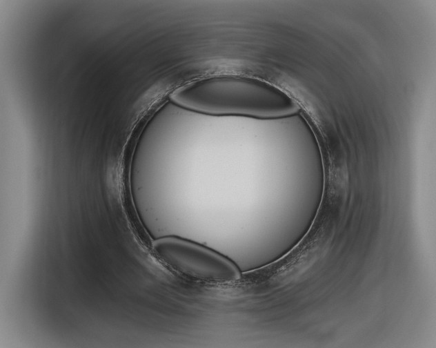 X0000116510485200912161342