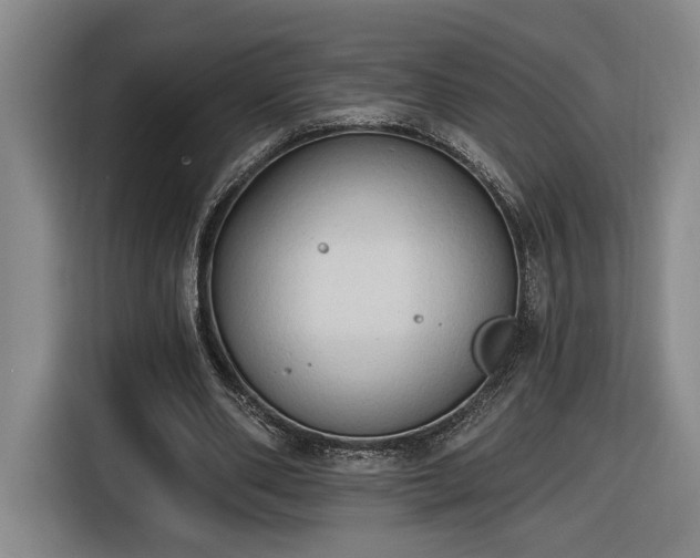 X0000116510486200912161342