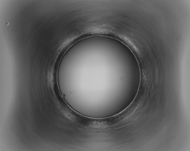 X0000116510487200912161341