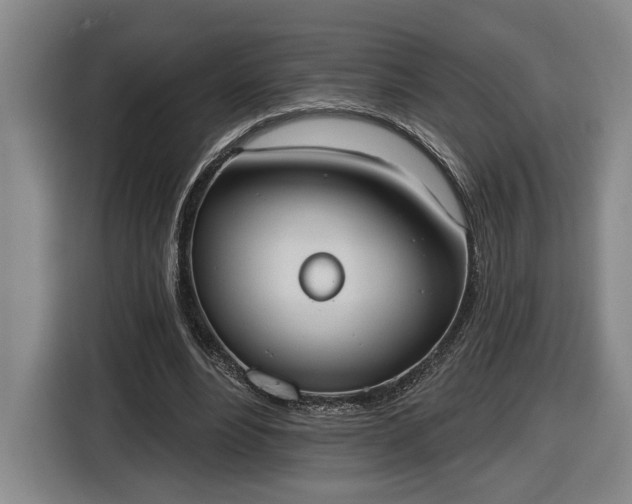 X0000116510488200912161341