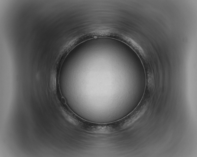 X0000116510493200912161341