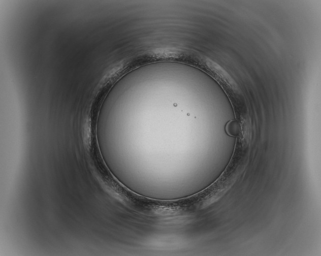 X0000116510494200912161341