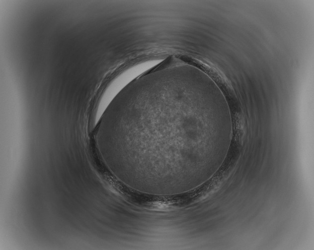 X0000116510496200912161341