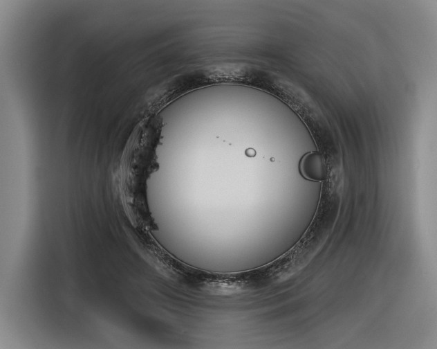 X0000116510498200912161341