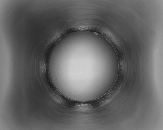 X0000116510499200912161341