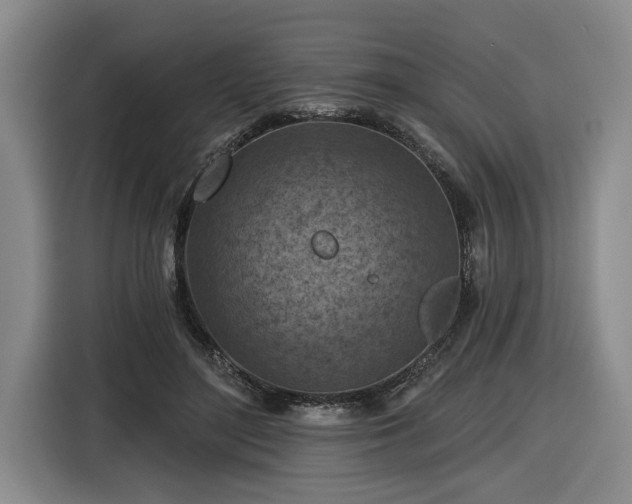 X0000116510500200912161341