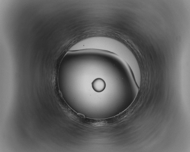 X0000116510505200912161341