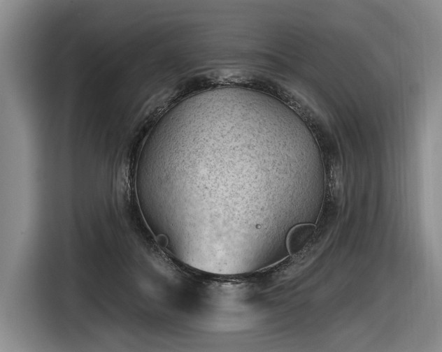 X0000116510506200912161341