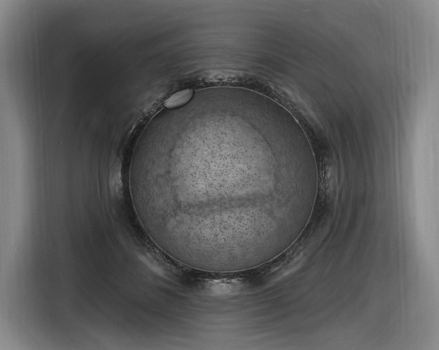 X0000116510508200912161341