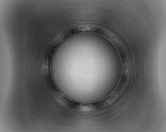 X0000116510510200912161341