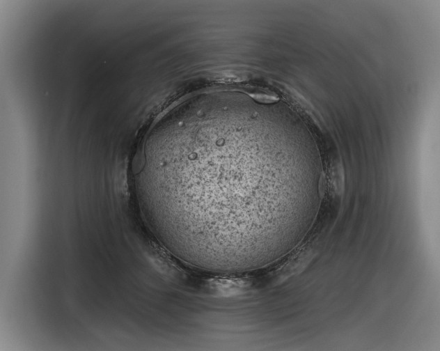 X0000116510512200912161341