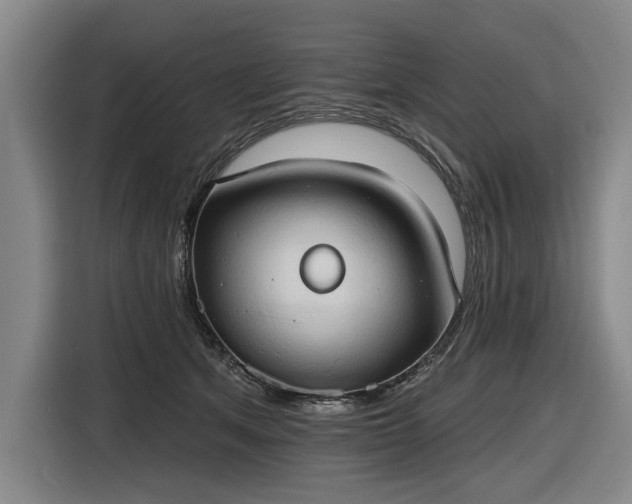 X0000116510513200912161341