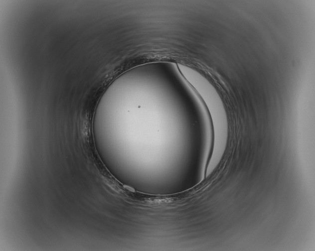 X0000116510517200912161341