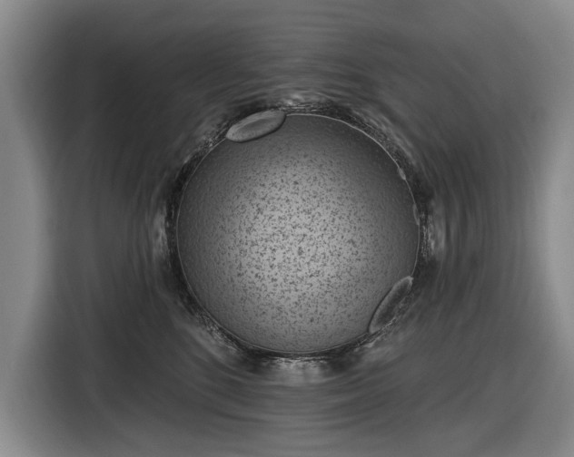 X0000116510520200912161341