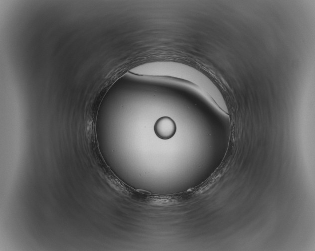 X0000116510521200912161341